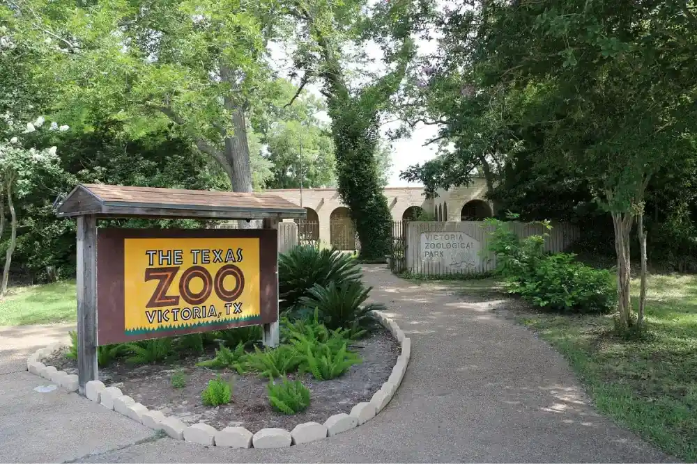 The texas zoo