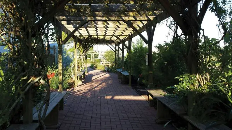 A scenic garden path covered by a wooden pergola with benches and greenery on both sides.